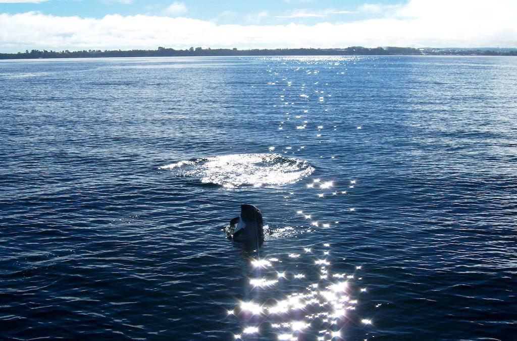 Punta Piedras Lodge & Marina Puerto Montt Ngoại thất bức ảnh