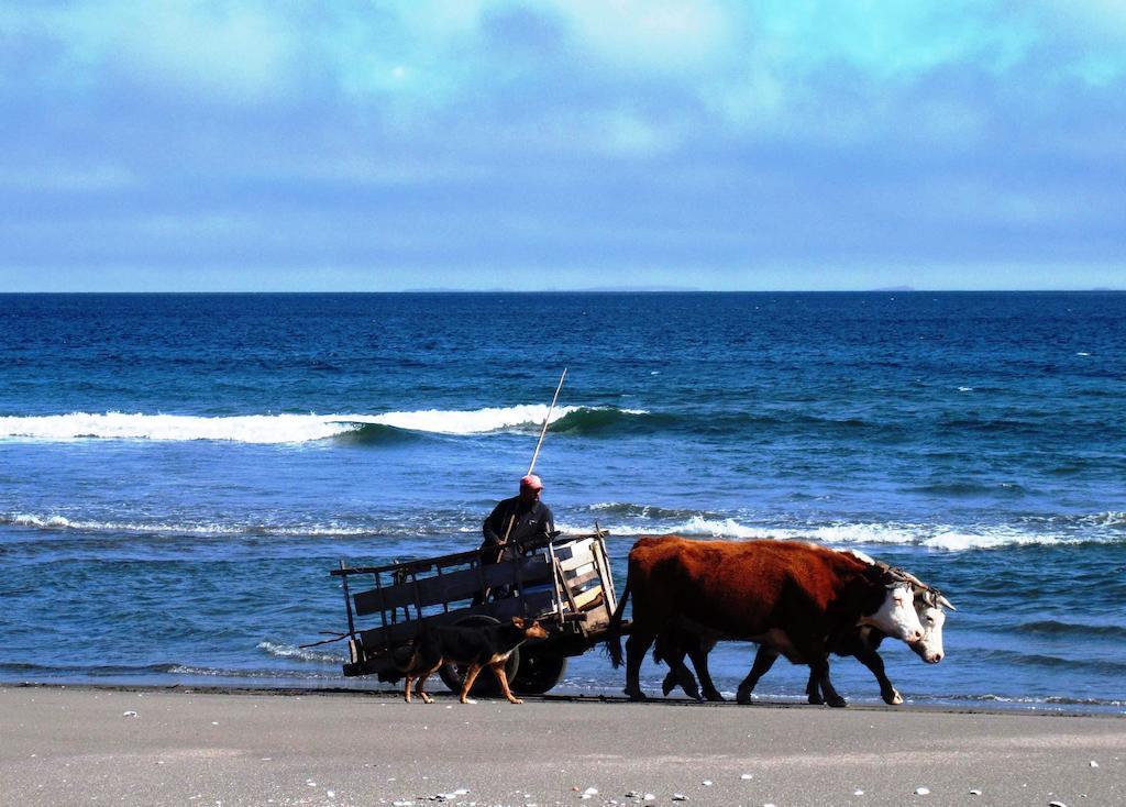 Punta Piedras Lodge & Marina Puerto Montt Ngoại thất bức ảnh